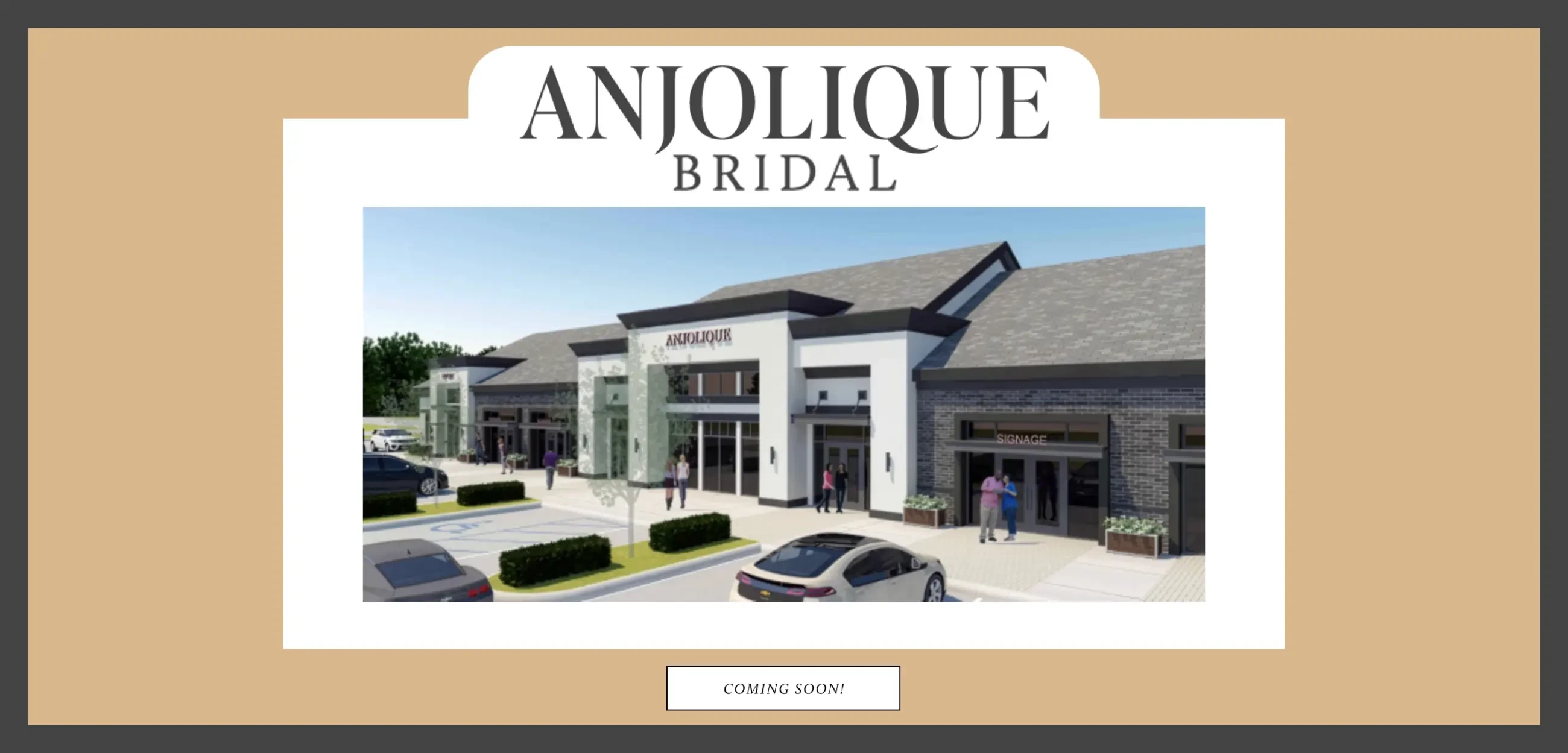 Anjolique Bridal Desktop Banner