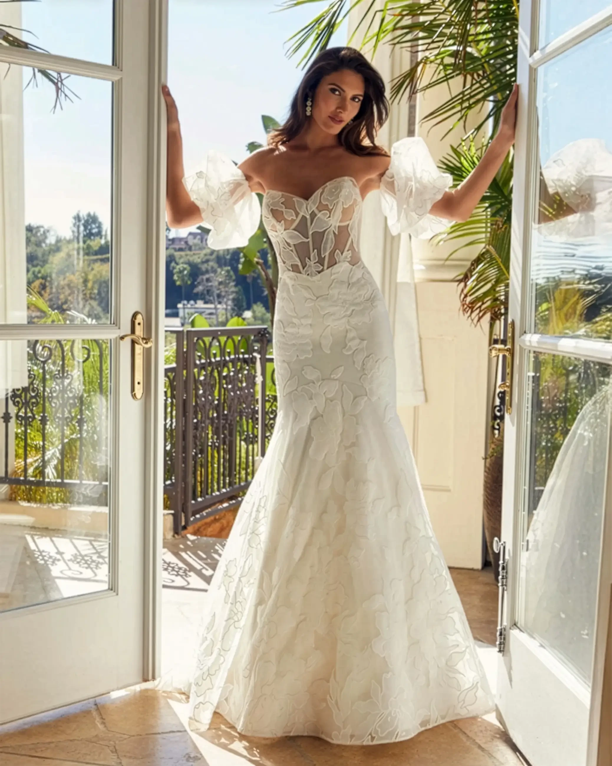 Signature Collection Image