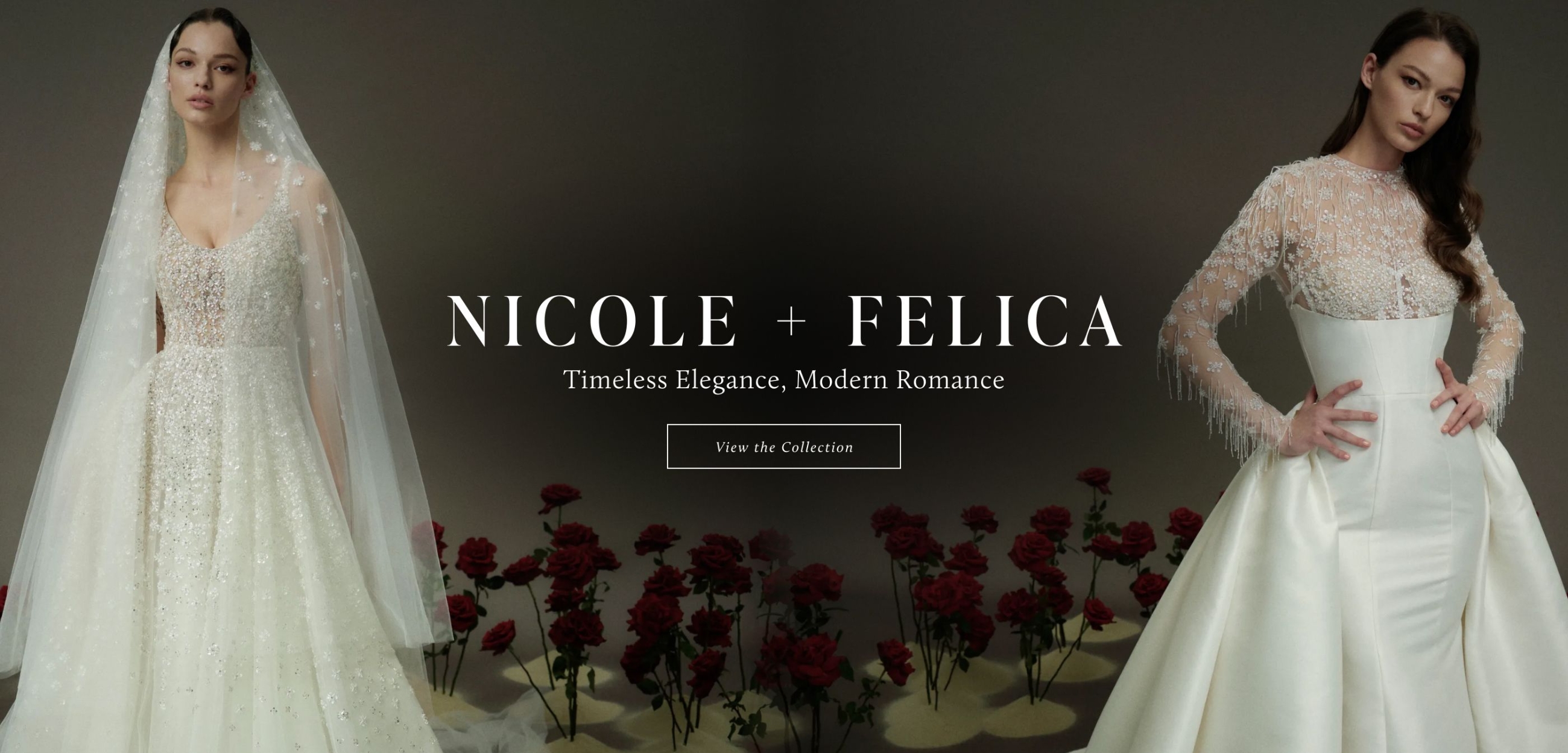 Nicole + Felica Desktop Banner