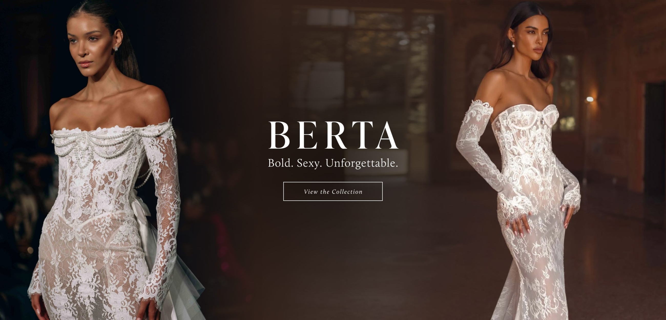 Berta Desktop Banner