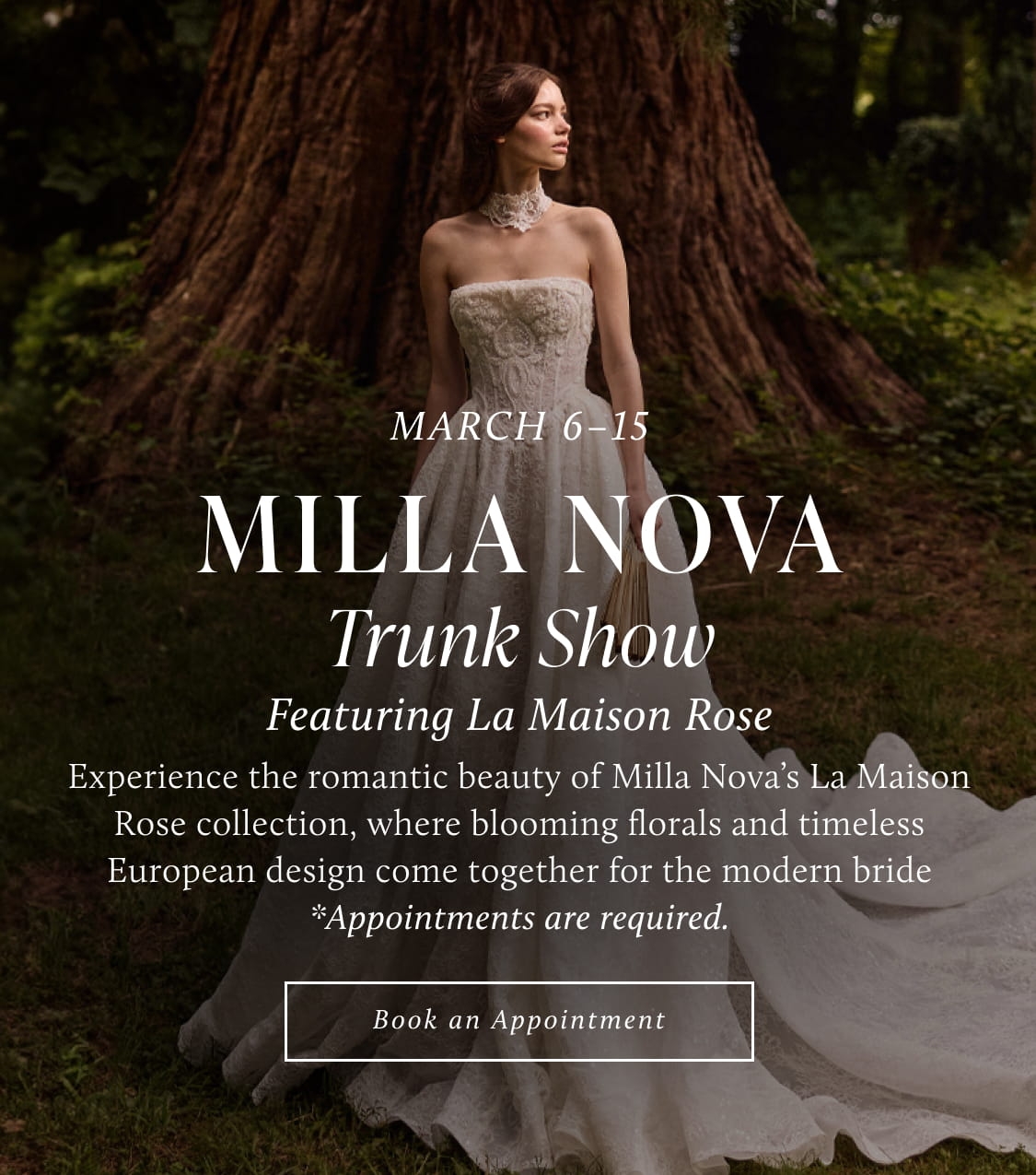 Milla Nova Trunk Show Banner
